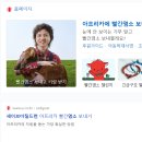 세이브광고마케팅