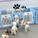 맡겨보개 이미지