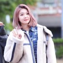 다미 이미지