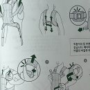 한길프라자2 | 베이비뵨 하모니 아기띠 구매 후기 | 베이비하우스 양주점에서 부가부 유모차·카시트 구경