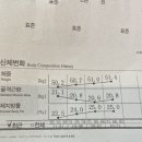 인바디