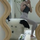 2022-주175 | 20대 후반 여성도 키가 자랄 수 있나요??(건강검진 인증)