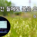 빼앗긴 들에도 봄은 오는가 이미지