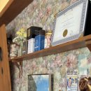 세렝게티 | <속초 카페> 교동 굘목길에서 만난 세렝게티커피 솔직후기