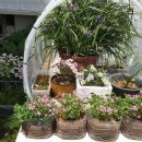 기장IC주유소 이미지