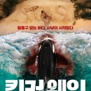 범고래는 건들면 안 된다. 영화 킬러웨일 침묵의 습격자