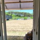 진전면917 이미지