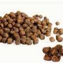 (주)에이티바이오 제2공장 이미지