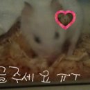 오물오물 네이버블로그