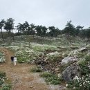 신풍면사무소 이미지