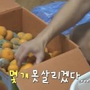 기안84가 대상을 받기 위해 바쳤던 제물 이미지