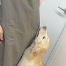 몽블리스 이미지