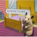 위드미편의점 대전유성점 | 겨울잠을 준비하고 있는걸까