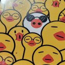 이춘봉인생치킨강릉