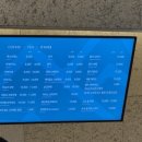 카페오전7시 | 고성 뷰맛집 카페 델피노 더엠브로시아 오픈런 후기(일요일 오전 7시 40분)