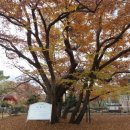 호평동 현대 I-PARK 이미지