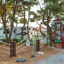 하조대캠핑카 이미지