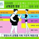 점핑스쿨