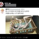 서종요양병원 | Goodbye summer☀️🍉🕶️⛱️