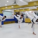 국가대표 울림태권도 이미지