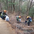 수시코스 이미지