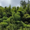 펀한노리터 이미지