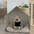 포항애견동반식당 : 북구 영일대 브런치카페 베릴키키