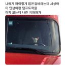 [직딩일기] #17. 스스로 잘한다고 인정할 수 있을 만큼 / 24년 2월 2주 일상(W6)