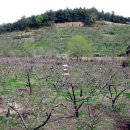 대곡 바다 이미지