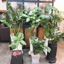 머리사랑헤어샵 이미지