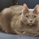 주식회사 이봄 이미지