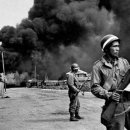 김기철 농장 이미지