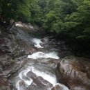 지리산한방흑돼지