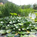 금강민박 이미지