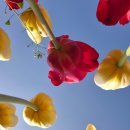 홈당골펜션 이미지