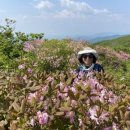천둥산쉼터 이미지