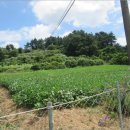 노화읍-3 이미지