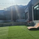 퍼피랜드 이미지