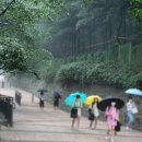 희망대공원길 이미지