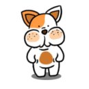 오유컴퍼니