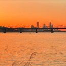 샵스케줄 공원 이미지