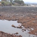 제주의 이유 이미지