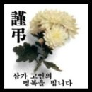 신신키즈태권도 이미지