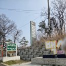 산수유 둘레길 | 이천 산수유 둘레길 애견동반 솔직후기