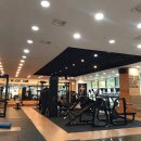 더 퍼스트 피티 스튜디오 이미지