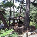 홍천군 서석면 멋진 소나무와 계곡옆 전원주택 매매 이미지