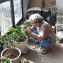 산수시장 | 산수시장 재방문 후기