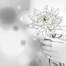 에이치디에스 이미지