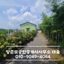 양준모공인중개사사무소태솔 이미지