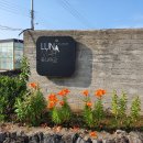 루나마르 2 이미지